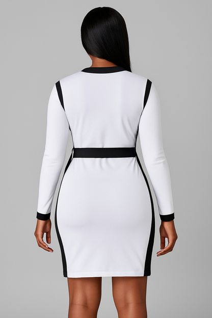 Contrast Bodycon Mini Dress with Zipper and Belt